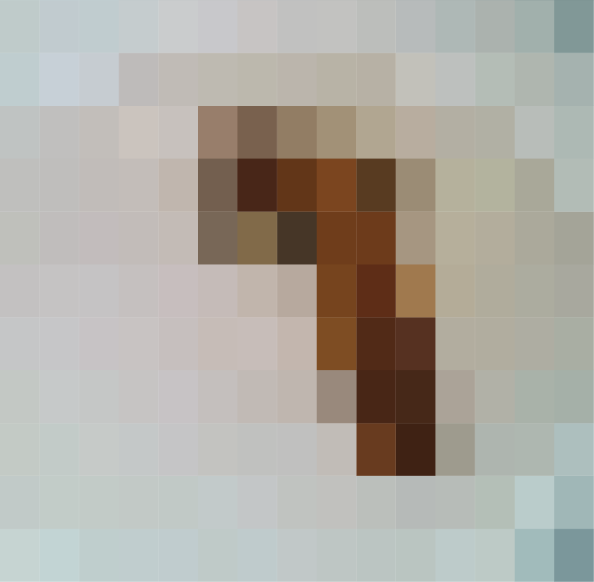 Stool sample cracked sausage